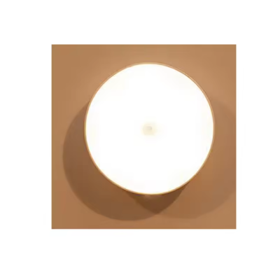 LED Night Light NL110picture4