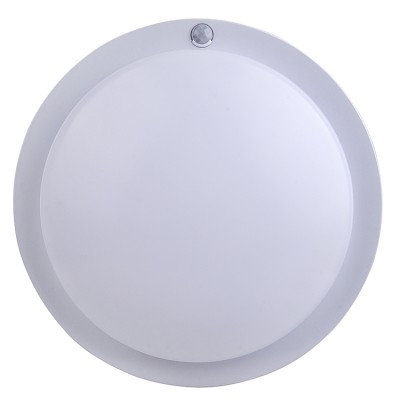 LED Ceiling Light CL280picture2