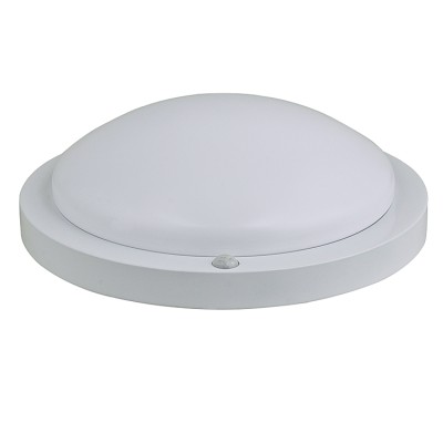 LED Ceiling Light CL280picture3
