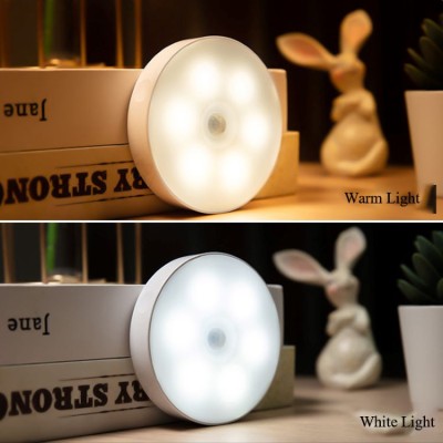 LED Induction Light NDL300picture5