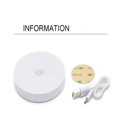 LED Induction Light NDL300picture6