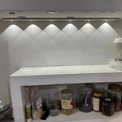 LED Induction Light NDL610picture2
