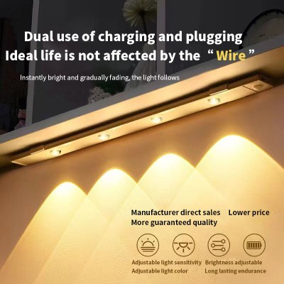 LED Induction Light NDL610picture3