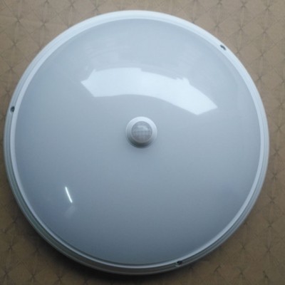 LED Ceiling Light CL290picture4