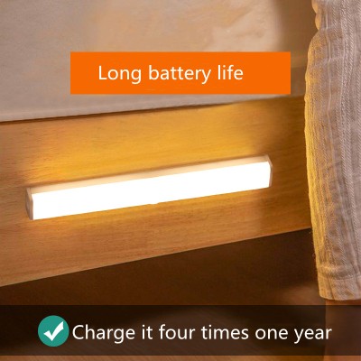 LED Induction Light NDL320picture2