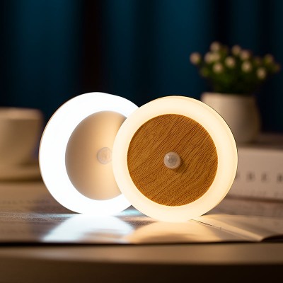 LED Induction Light NDL140picture2