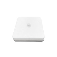 LED Induction Light NDL230