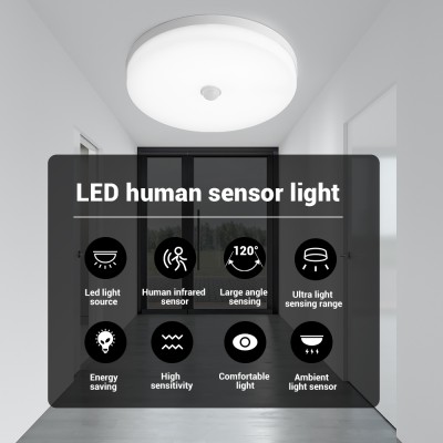 LED Induction Light NDL230picture5
