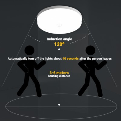 LED Induction Light NDL230picture6