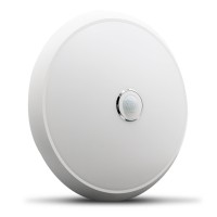 LED Ceiling Light CL310
