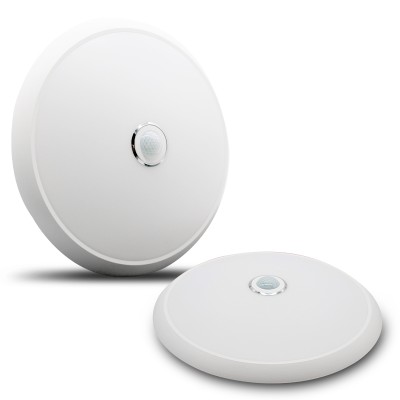 LED Ceiling Light CL310picture6