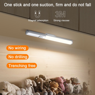 LED Induction Light NDL400picture2