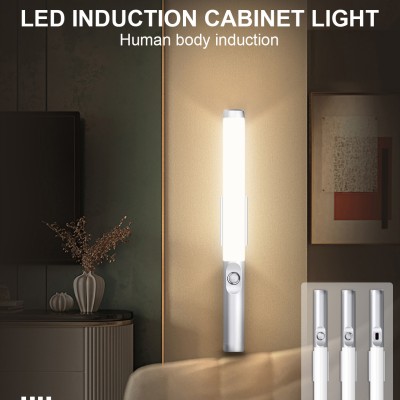LED Induction Light NDL400picture3