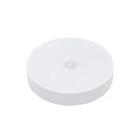 LED Induction Light NDL430