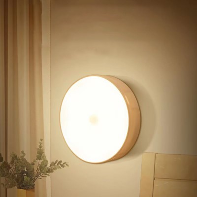 LED Induction Light NDL430picture3