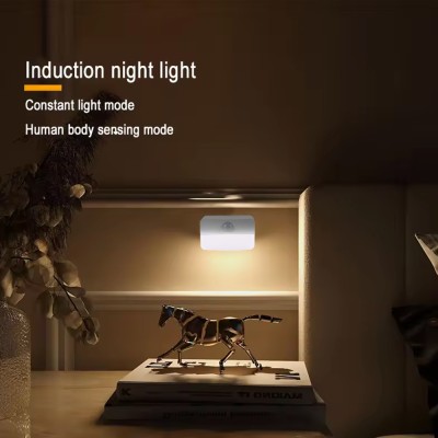LED Night Light NL270picture6