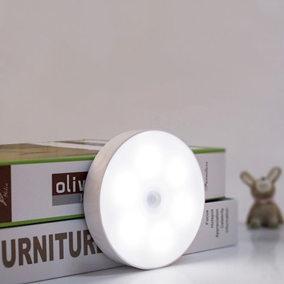 LED Induction Light NDL360picture6