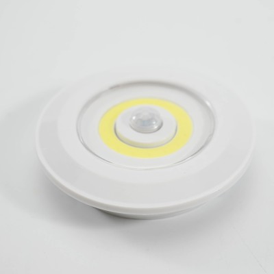 LED Induction Light NDL210picture2