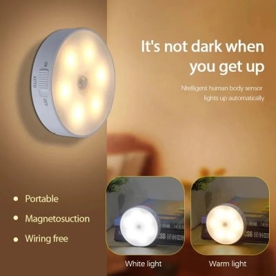 LED Induction Light NDL600picture3