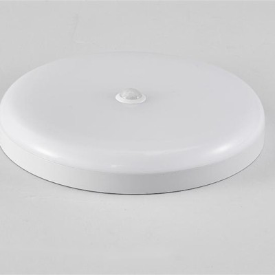LED Ceiling Light CL320picture2