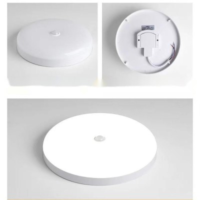 LED Ceiling Light CL320picture4