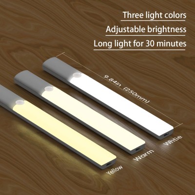 LED Induction Light NDL560picture4