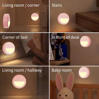 LED Night Light NL330picture6