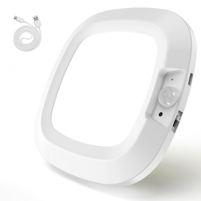 LED Induction Light NDL570picture2