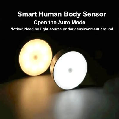 LED Induction Light NDL370picture2