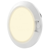 LED Induction Light NDL380