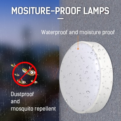 LED Ceiling Light CL430picture4