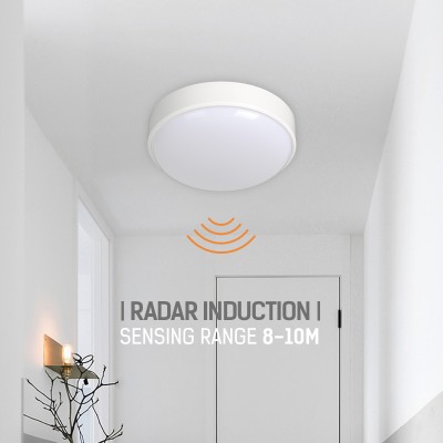 LED Ceiling Light CL430picture6