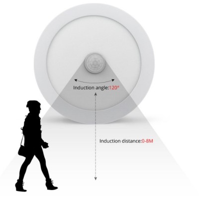 LED Induction Light NDL390picture5