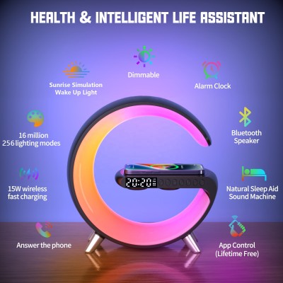 LED Night Light NL290picture2