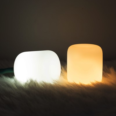 LED Night Light NL310picture3
