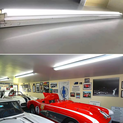 LED Tube Light LT800picture5