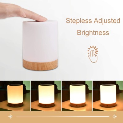 LED Night Light NL250picture2