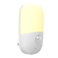 LED Induction Light NDL550