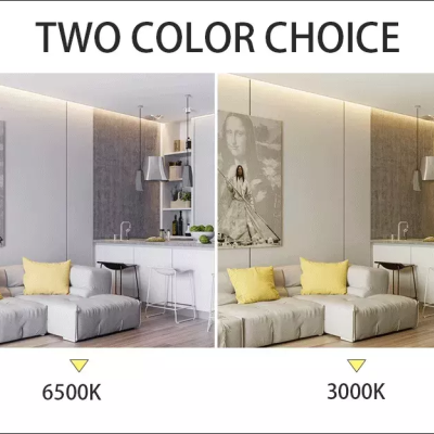 LED Tube Light LT900picture4