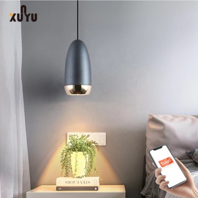 LED Pendant Light PEN440picture3
