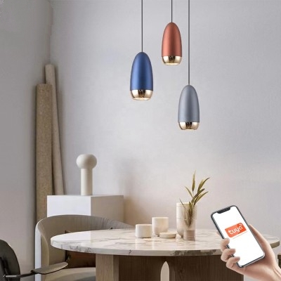 LED Pendant Light PEN440picture5