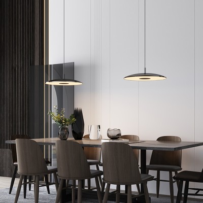 LED Pendant Light PEN120picture4