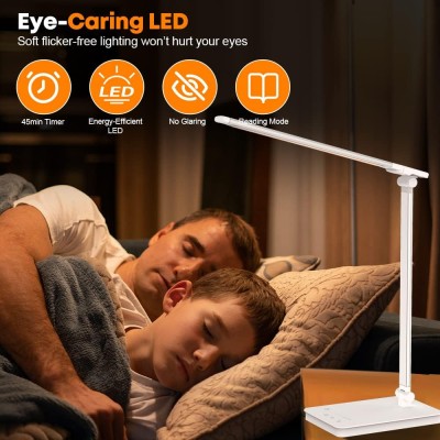 LED Desk Lamp DTL1110picture3