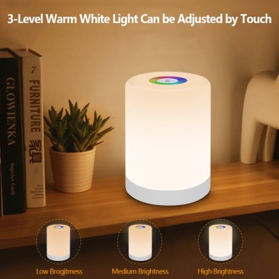 LED Night Light NL260picture2