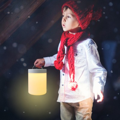 LED Night Light NL260picture5