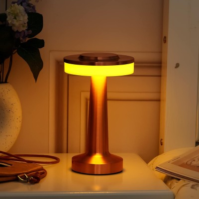 LED Table Light DTL660picture4