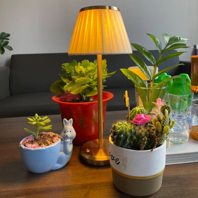 LED Table Light DTL270picture6