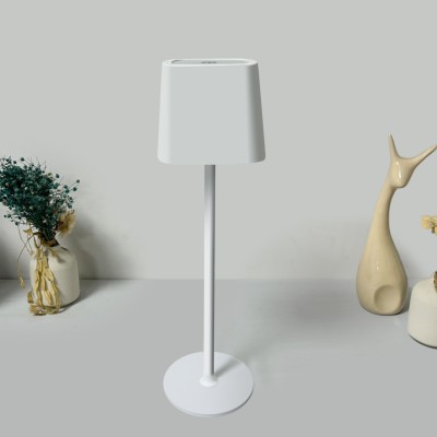 LED Desk Lamp DTL1160picture4