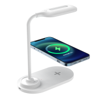 LED Desk Lamp DTL1180