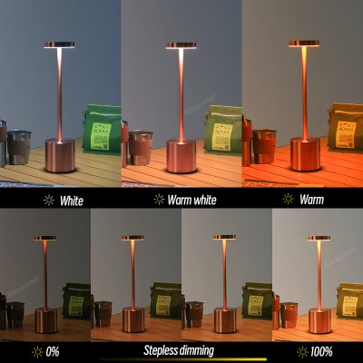 LED Table Light DTL290picture3